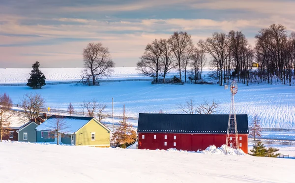 Красный амбар и заснеженные поля в сельской местности округа Йорк, Пенсильвания — стоковое фото