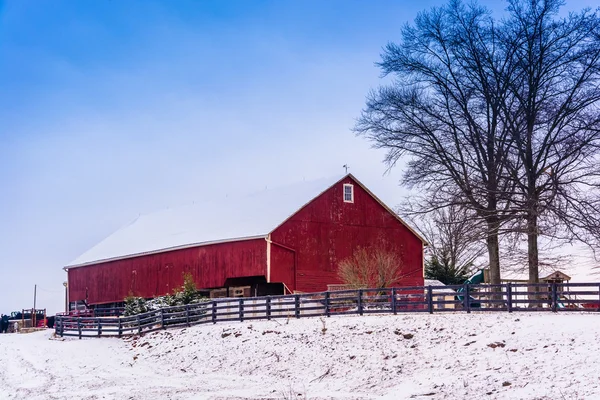 Červená stodola a zasněžené pole ve venkovských adams county, pennsylva — Stock fotografie