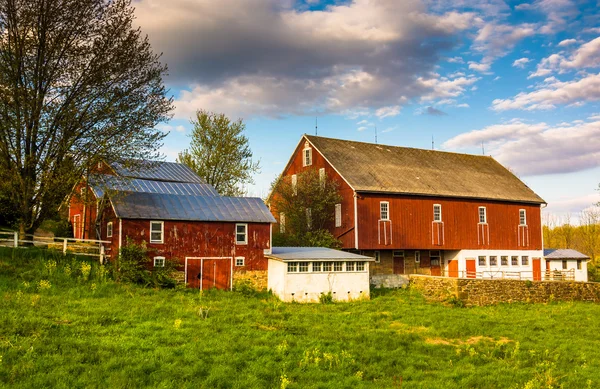 Röd lada på en gård på landsbygden york county, pennsylvania. — Stockfoto