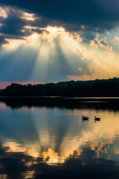 Reflexão do céu dramático e gansos no Lago Pinchot, em Gifford — Fotografia de Stock