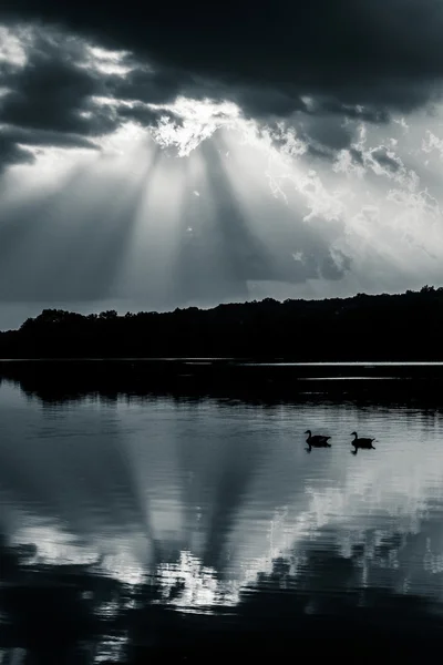 Reflektion av dramatisk himmel och gäss i sjön pinchot, på gifford — Stockfoto