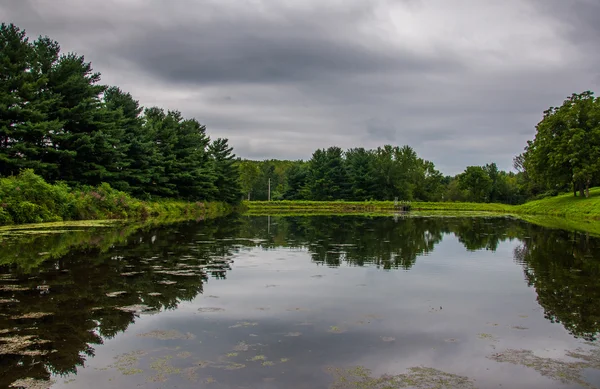 Reflecties van dennen bomen en storm wolken in een vijver in rural y — Stockfoto