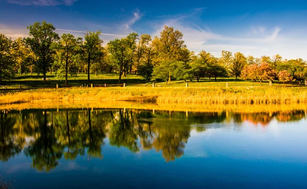 Reflektioner av träd i druid sjö, på druid hill park i baltim — Stockfoto