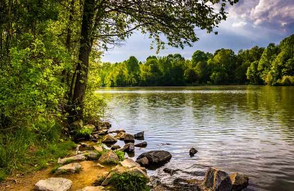 Stenen en bomen langs de kust van centennial lake in centennial — Stockfoto