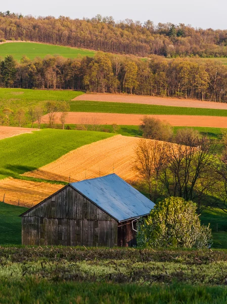 Zvlněné kopce, zemědělská pole a stodola v jižním york county, — Stock fotografie