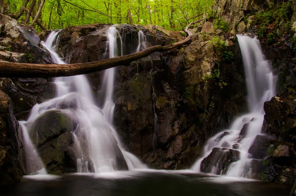 Rosa river falls, sett under våren i shenandoah national park — Stockfoto