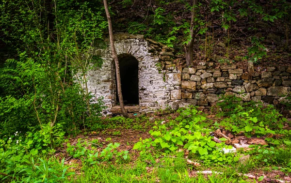 Okuma, pennsylvania yakınındaki eski bir evin kalıntıları. — Stok fotoğraf