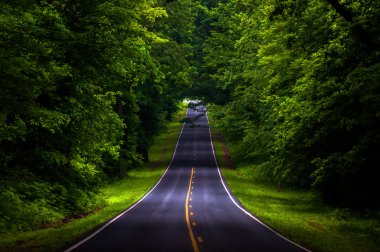 Skyline sürücü shenandoah nati bir ağır gölgeli orman alanı