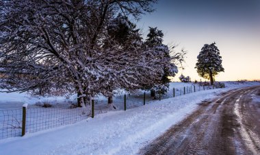 Snow covered trees and field along a dirt road in rural York Cou clipart