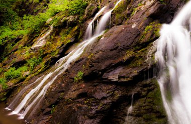 South river falls, shenandoah Milli Parkı, virginia. 