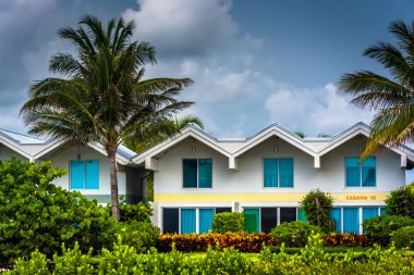 palmiye ağacı ve condominiums south Beach, mia üzerinde fırtına bulutları