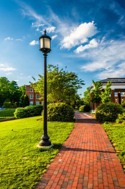 sokak lambasının boyunca tuğla geçit John hopkins Üniversitesi'nde 