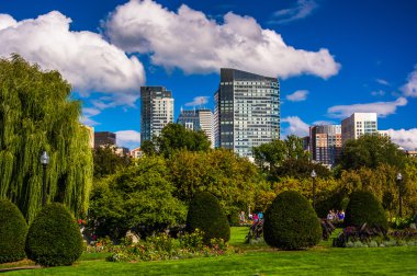 boston manzarası, kamu bahçe gördüm. 