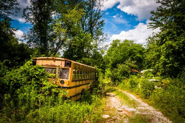 Autocarro escolar num ferro-velho . — Fotografia de Stock