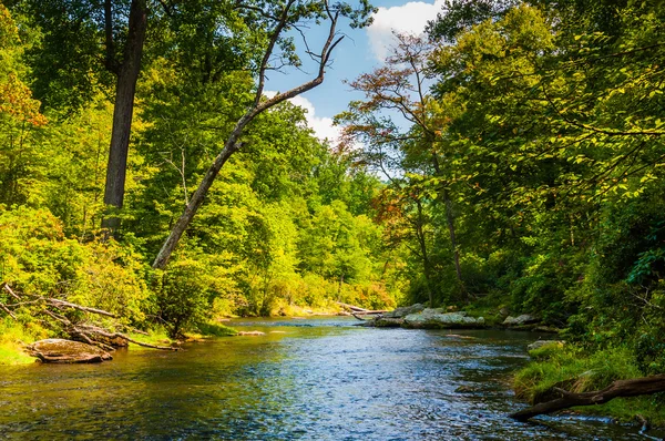 Serene view of the Gunpowder Falls, in Baltimore County, Marylan — Stock Photo, Image