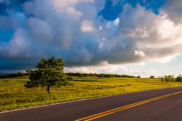 Skyline drive och träd i stora ängar, shenandoah nationalpark, — Stockfoto