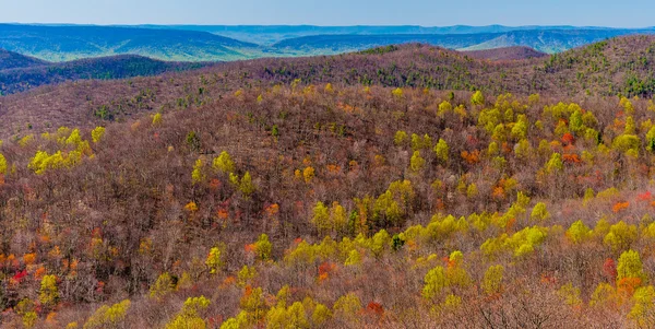 Signs of spring in the Blue Ridge, seen from Skyline Drive in Sh