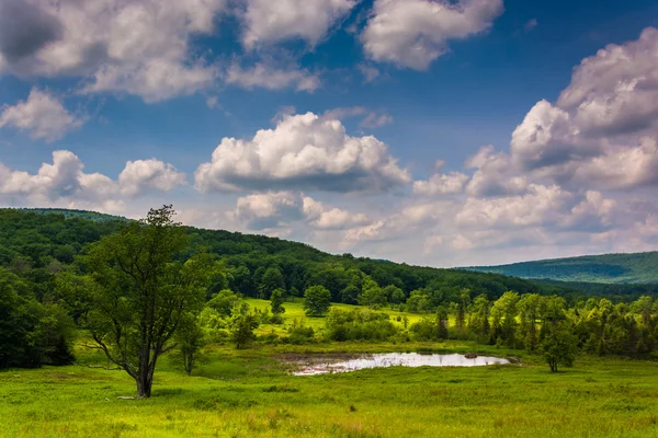 Small pond at Canaan Valley State Park, West Virginia. — Stock Photo, Image