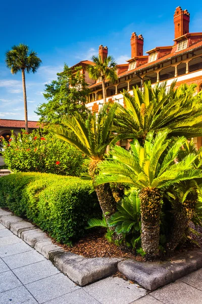 Small palm trees and building at Flagler College, in St. Augusti — Stock Photo, Image