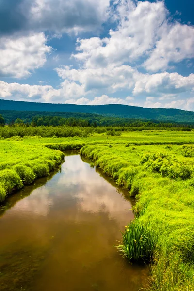 Small stream and distant mountains at Canaan Valley State Park, — Stock Photo, Image