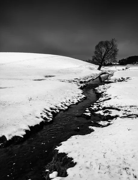 Piccolo ruscello e albero in un campo innevato vicino alla Primavera G — Foto Stock