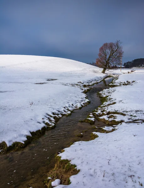 स्प्रिंग जी जवळ बर्फ झाकलेल्या शेतात लहान प्रवाह आणि झाड — स्टॉक फोटो, इमेज
