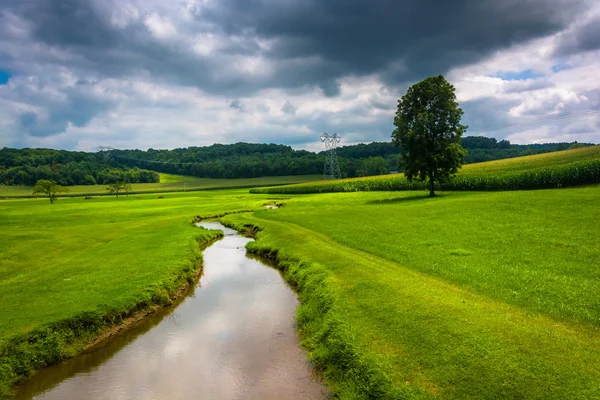 Small stream in a farm field in rural Carroll County, Maryland. — Stock Photo, Image