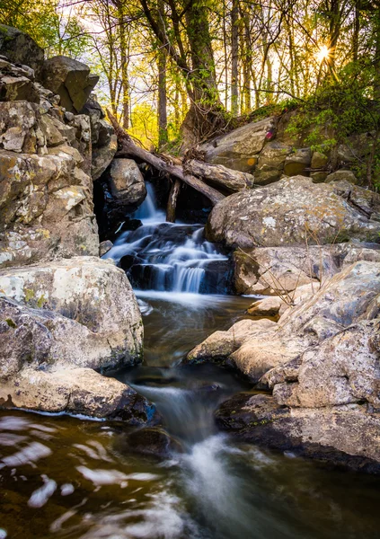 Small waterfall on a stream at Great Falls Park, Virginia. — Stock Photo, Image