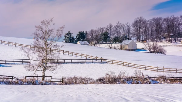 Campos agrícolas cubiertos de nieve en el condado rural de Carroll, Maryland . — Foto de Stock