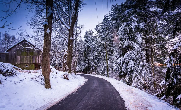 Pokryte śniegiem, sosny i stodoła wzdłuż drogi kraj w wiejskich c — Zdjęcie stockowe