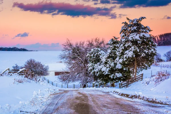 Kar çam ağaçları ve alanları kırsal alanda toprak yol boyunca yo kaplı — Stok fotoğraf