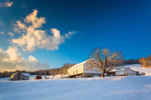 Nieve en una granja en el condado rural de York, Pensilvania . — Foto de Stock