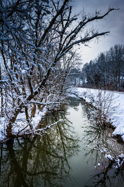 Alberi innevati che si riflettono in un torrente nella contea rurale di Carroll — Foto Stock