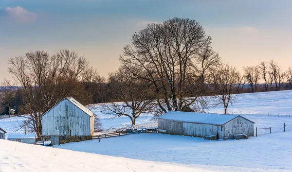 Fazenda coberta de neve no condado rural de Carroll, Maryland . — Fotografia de Stock