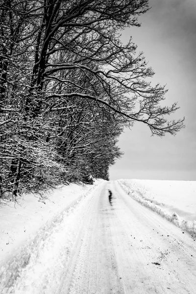 Zasněžené silnici ve venkovských carroll county, maryland. — Stock fotografie
