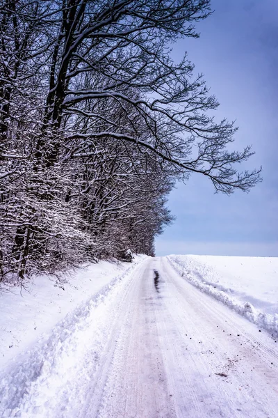 Karla kaplı road kırsal carroll county, maryland. — Stok fotoğraf