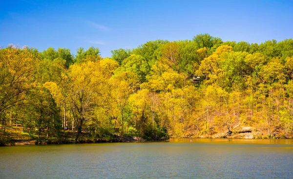 Spring color along Lake Roland at Robert E. Lee Memorial Park in — Stock Photo, Image