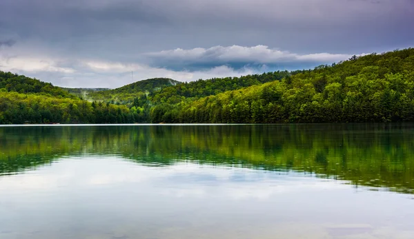 Colore primaverile al Long Pine Run Reservoir nella foresta statale di Michaux , — Foto Stock