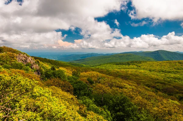 Jarní barvy v blue ridge hory, z kamenité muž mo — Stock fotografie