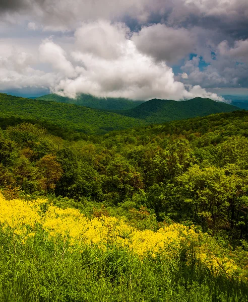 Spring view of the Appalachians from Skyline Drive in Shenandoa — Stock Photo, Image