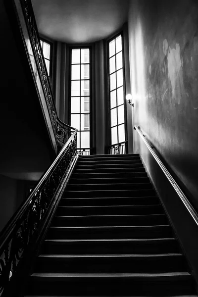 Лестница в Национальном музее естественной истории, Вашингтон , — стоковое фото