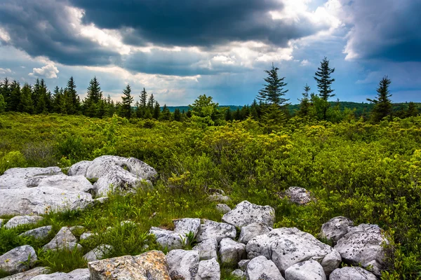 Nuvens de tempestade sobre Bear Rocks Preserve, Monongahela National Fore — Fotografia de Stock