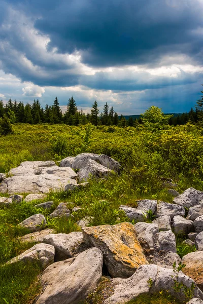 Storm clouds over Bear Rocks Preserve, Monongahela National Fore — Stock Photo, Image