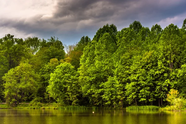 Molnen över centennial lake, i centennial park i columbi — Stockfoto