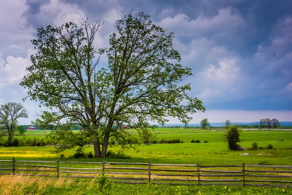 Molnen över ett träd i ett fält, gettysburg, pennsylvania. — Stockfoto