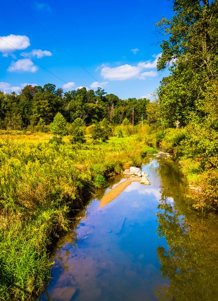 Bach und Wiese im ländlichen Kreis York, Pennsylvania. — Stockfoto