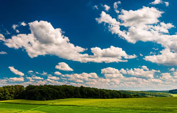 Summer clouds over fields  and hills in rural York County, Penns — Stock Photo, Image