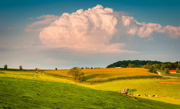 Nuvem de tempestade de verão sobre colinas ondulantes e campos agrícolas em Y rural — Fotografia de Stock