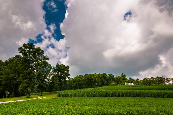 Zomer storm wolken over boerderij velden in zuidelijke york county, pa — Stockfoto