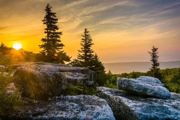ayı güneş doğarken koru, dolly sods doğada monon kayalar